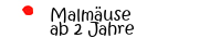 Malmäuse|ab 2 Jahre